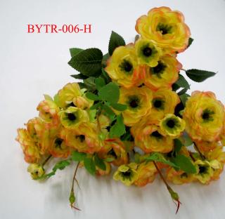BYTR-006-H