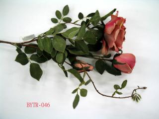 BYTR-046