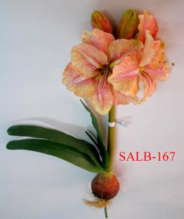 SALB-167