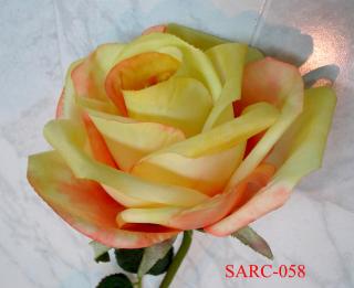 SARC-058-H