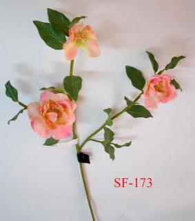 SF-173