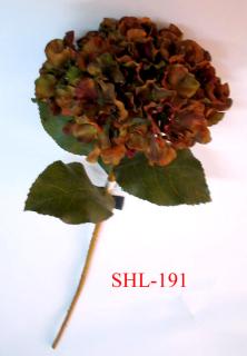 SHL-191