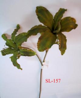 SL-157