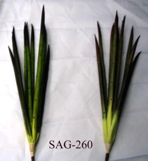 SAG-260