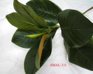 SMAL-111-H