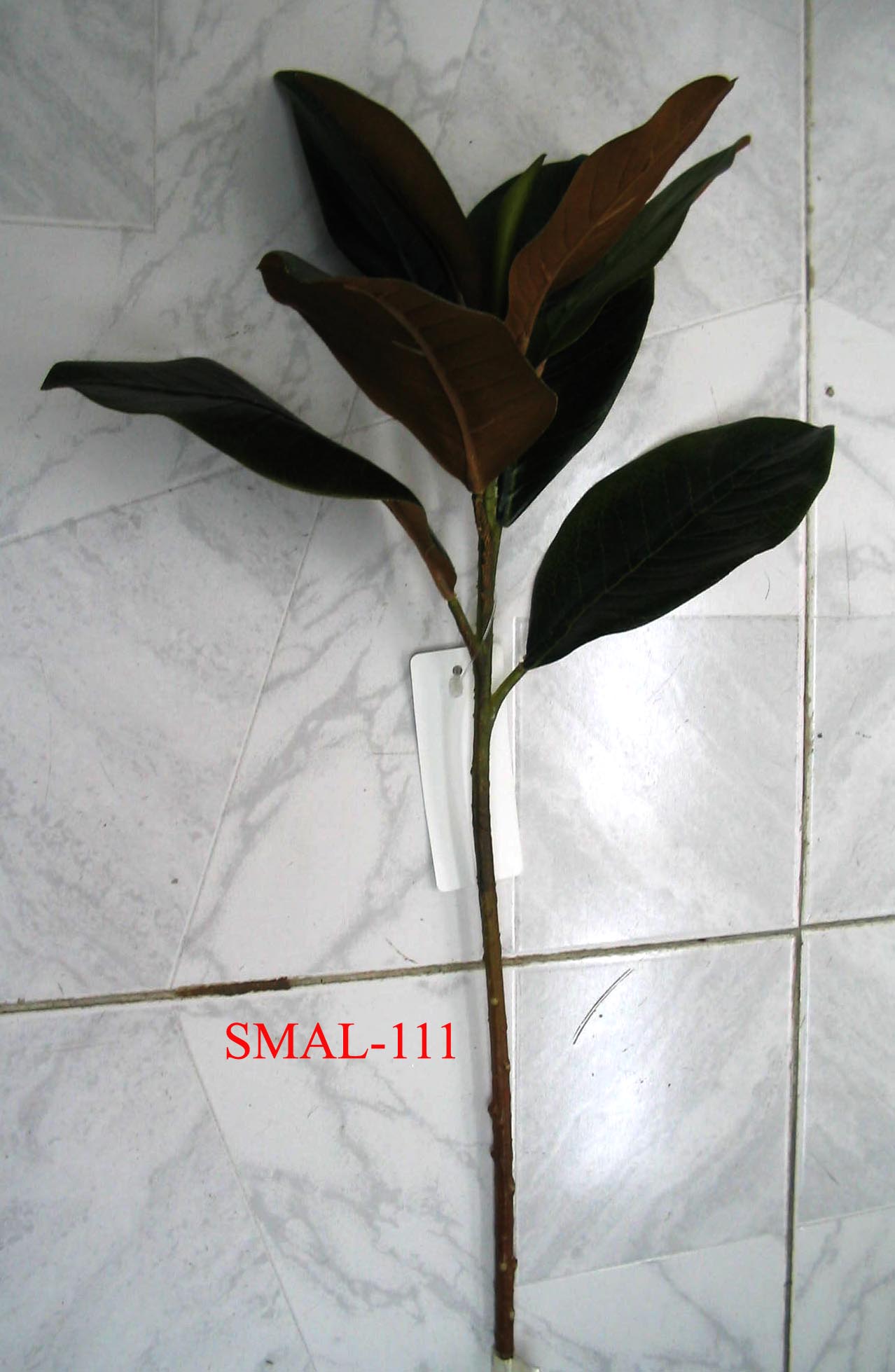 SMAL-111