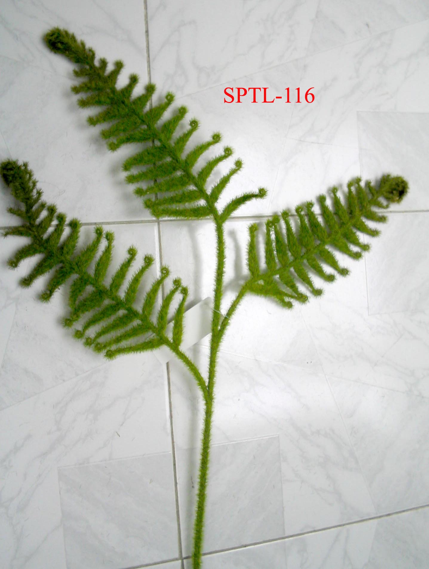 SPTL-116