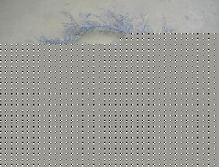 BW-ST-G-006