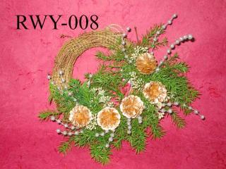 RWY-008