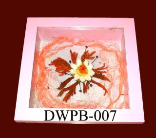 DWPB-007