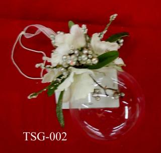TSG-002