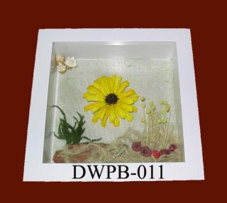 DWPB-011