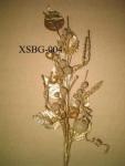 XSBG-004