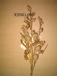 XSNG-008