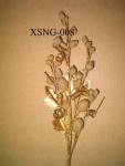 XSNG-008