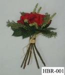 HBR-001