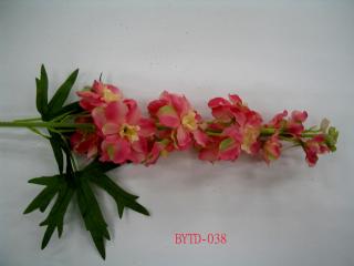 BYTD-038