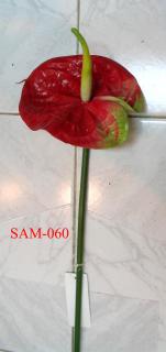 SAM-060