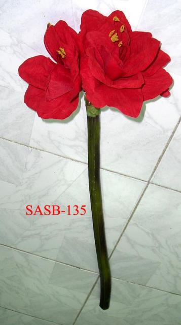 SASB-135