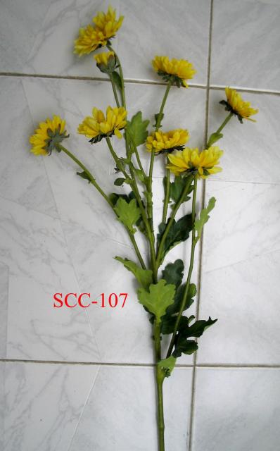 SCC-107