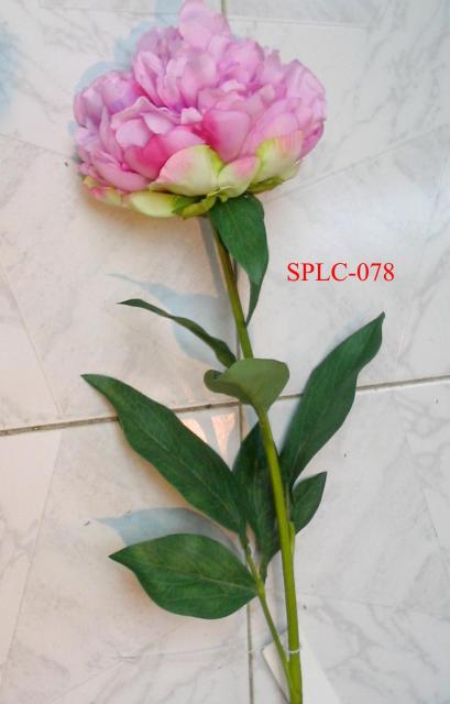 SPLC-078