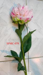 SPMC-079
