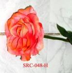 SRC-048-H