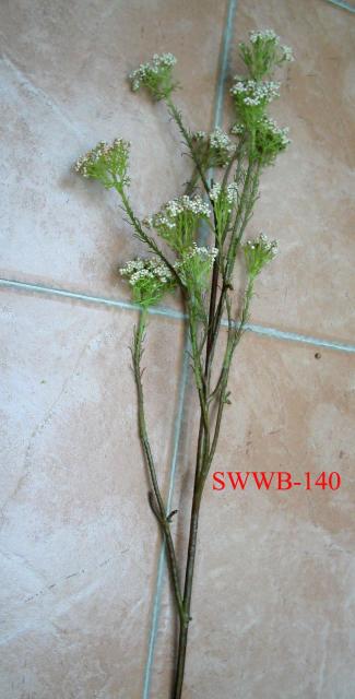 SWWB-140