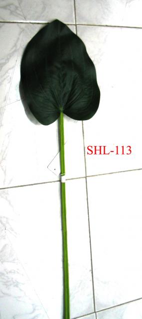 SHL-113