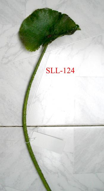 SLL-124