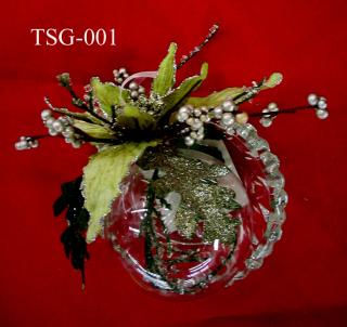 TSG-001